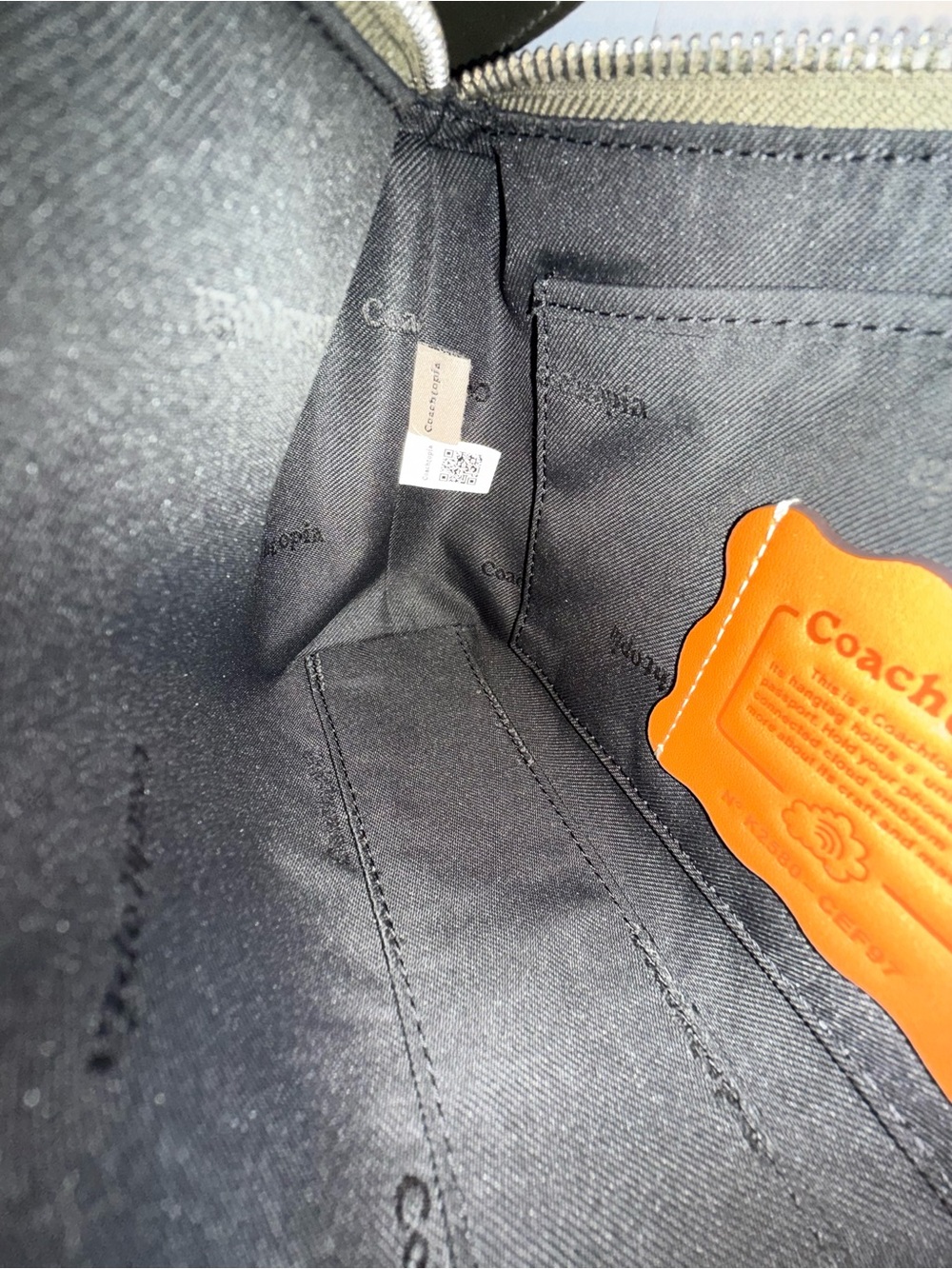 Coachtopia Alter Ego Small Slouchy Shoulder Bag - Picture 14 of 15